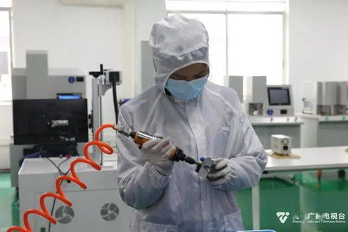 科技种子在南宁开花结果，网络技术创新激发经济新活力