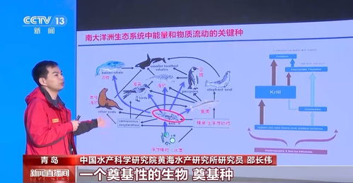 筑梦南极丨如何给南极冰盖做CT 揭开那些藏在科考站里的科技奥秘